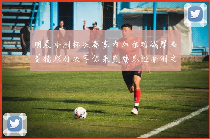 明晨非洲杯决赛塞内加尔对战摩洛哥精彩对决等你来直播见证非洲之王的诞生